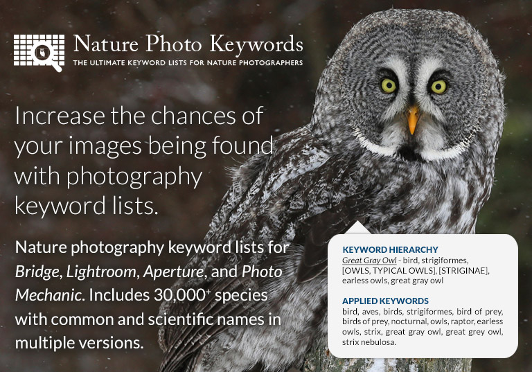 Increase the chances of your images being found with photography keyword lists. Nature photography keyword lists for Bridge, Lightroom, Aperture, and Photo Mechanic. Includes 30,000+ species with common and scientific names in multiple versions.